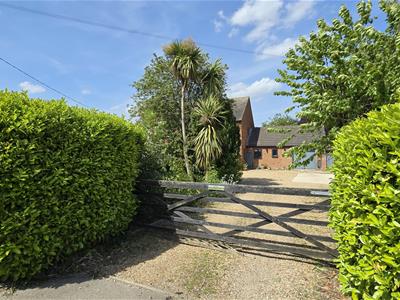 Picture 26